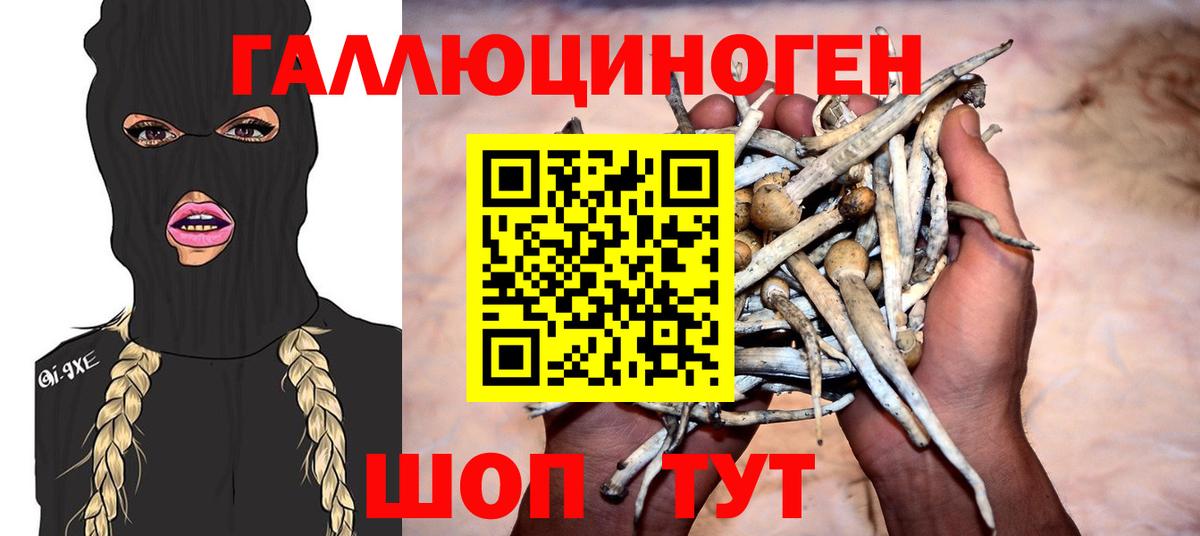 Костомукша  Галлюциногенные грибы мицелий  Галлюциногенные грибы Psilocybine cubensis  Вход с VPN 